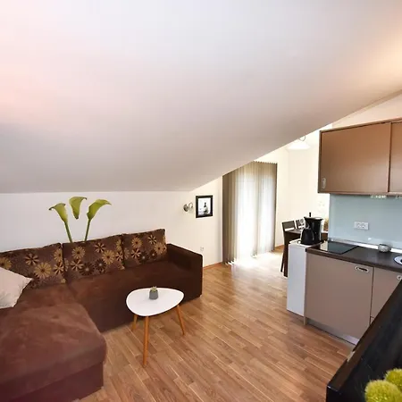 House Tomic For Max 22 Persons Maj Penzion 3*